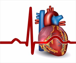 Human heart and function illustration.