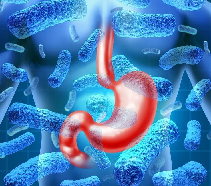 What are the common causes and symptoms of gastroenteritis?