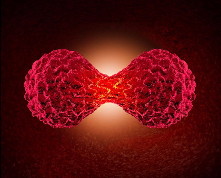 The growth of advanced cancer and metastasis