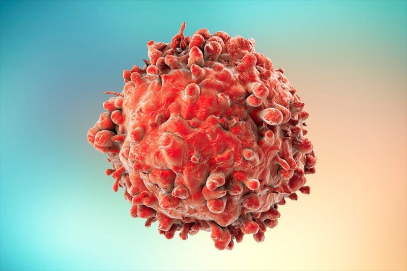 Commonly searched cancer types