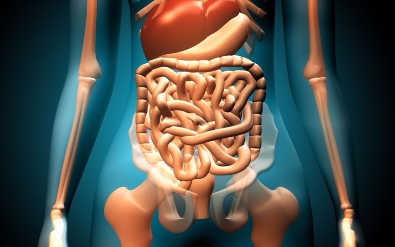 What are the different types of IBS?
