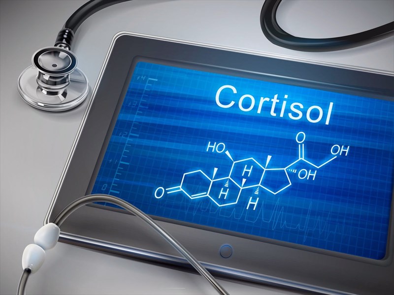 What is cortisol?