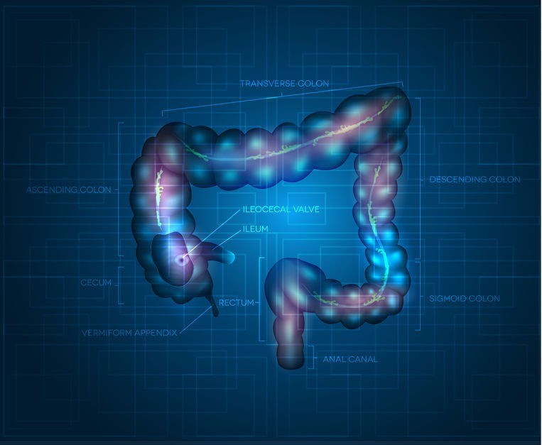 What should I expect when having a colonoscopy?