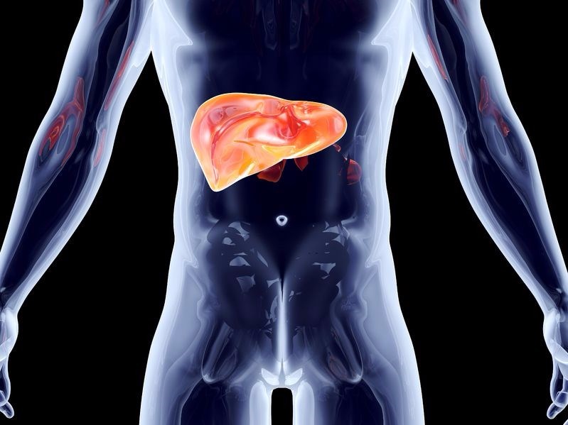 What are the stages of liver disease from initial inflammation to liver failure?