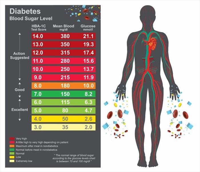 Blood Sugar Post Meal And Fasting Printable Chart