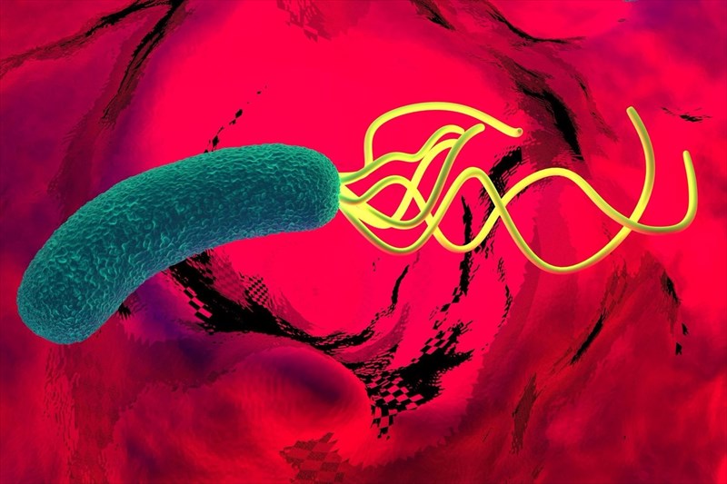 What is H. pylori?
