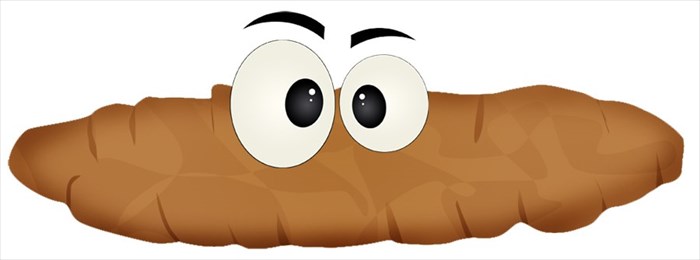 Slightly cracked sausage - shaped