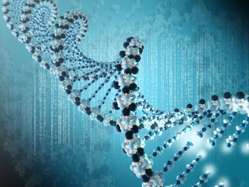 What causes vitiligo?