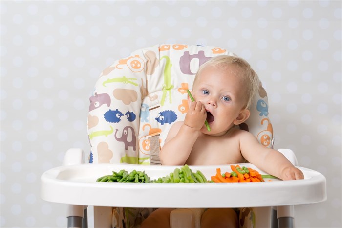 Baby girl sitting in a highchair eating raw, seasonal vegetables carrots, beans, peas, celery.