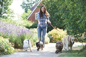 Young woman going for a walk with the dogs.