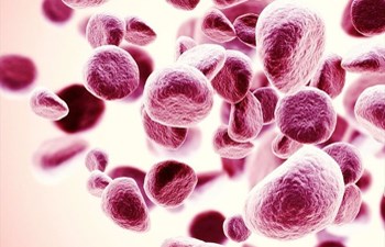 Blood type and your health