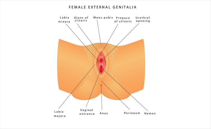 24 Things Every Woman Should Know About Her Vagina