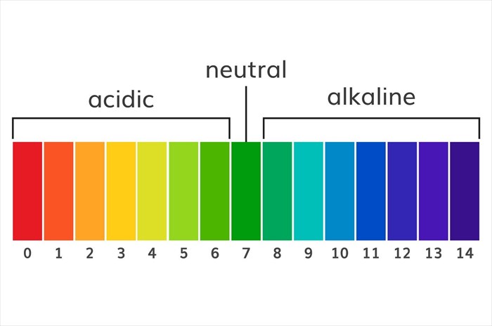pH balance scale