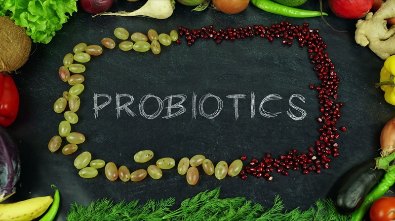 More information on probiotics
