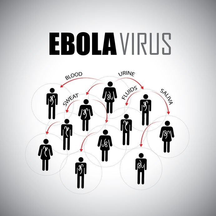 Illustration showing the main ways Ebola virus can be transmitted among human populations.