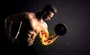 The facts on steroids for muscle building