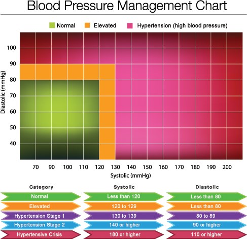 血圧表