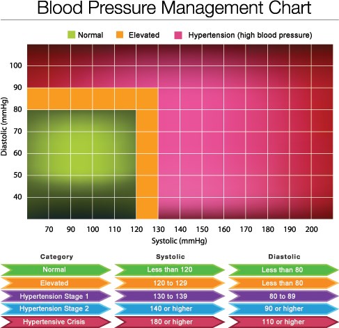 Blood Pressure Chart: Hypertension, How to Measure, and More