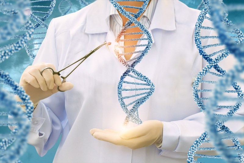 Scientists call for a halt on gene-edited babies