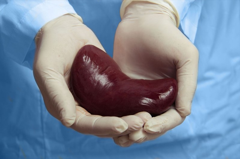 World's first HIV-positive to HIV-positive kidney transplant