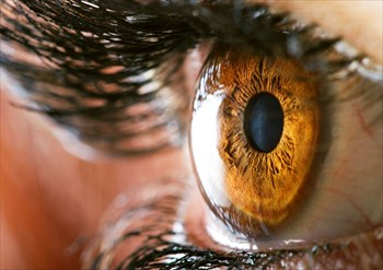 The world’s first corneal transplant using genetically ‘reprogrammed’ stem cells