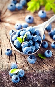 Ripe and juicy fresh picked blueberries closeup