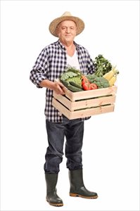 Farmer carrying a wooden crate full of fresh vegetables - The Agrarian