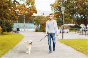 Man with a labrador retriever dog walking outdoors