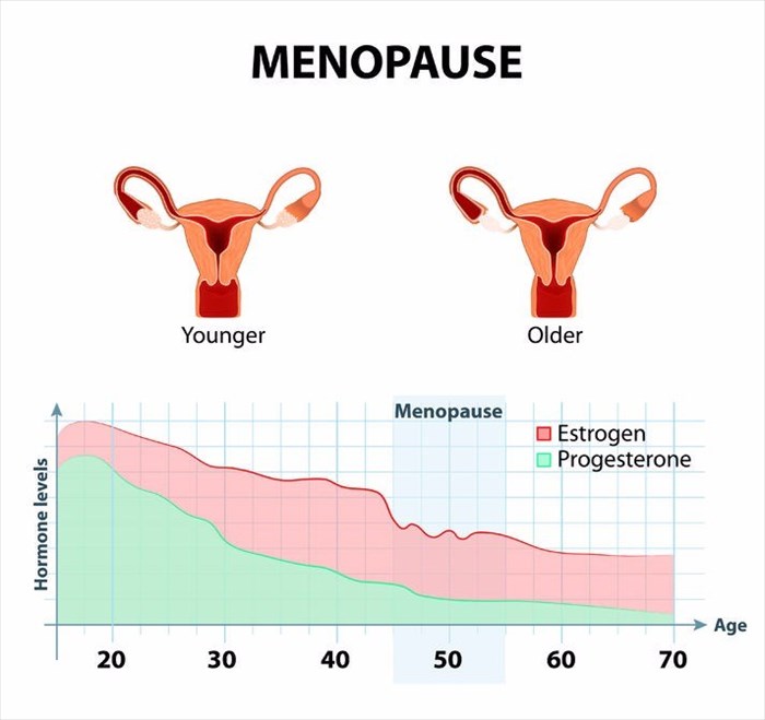 Menopause and hormones