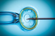 In Vitro Fertilisation (IVF)