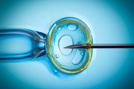 In Vitro Fertilisation (IVF)